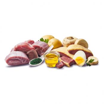 Preview: DOGGY Dog - Kalb & Ente -